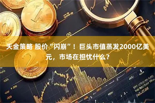 天金策略 股价“闪崩”！巨头市值蒸发2000亿美元，市场在担忧什么？